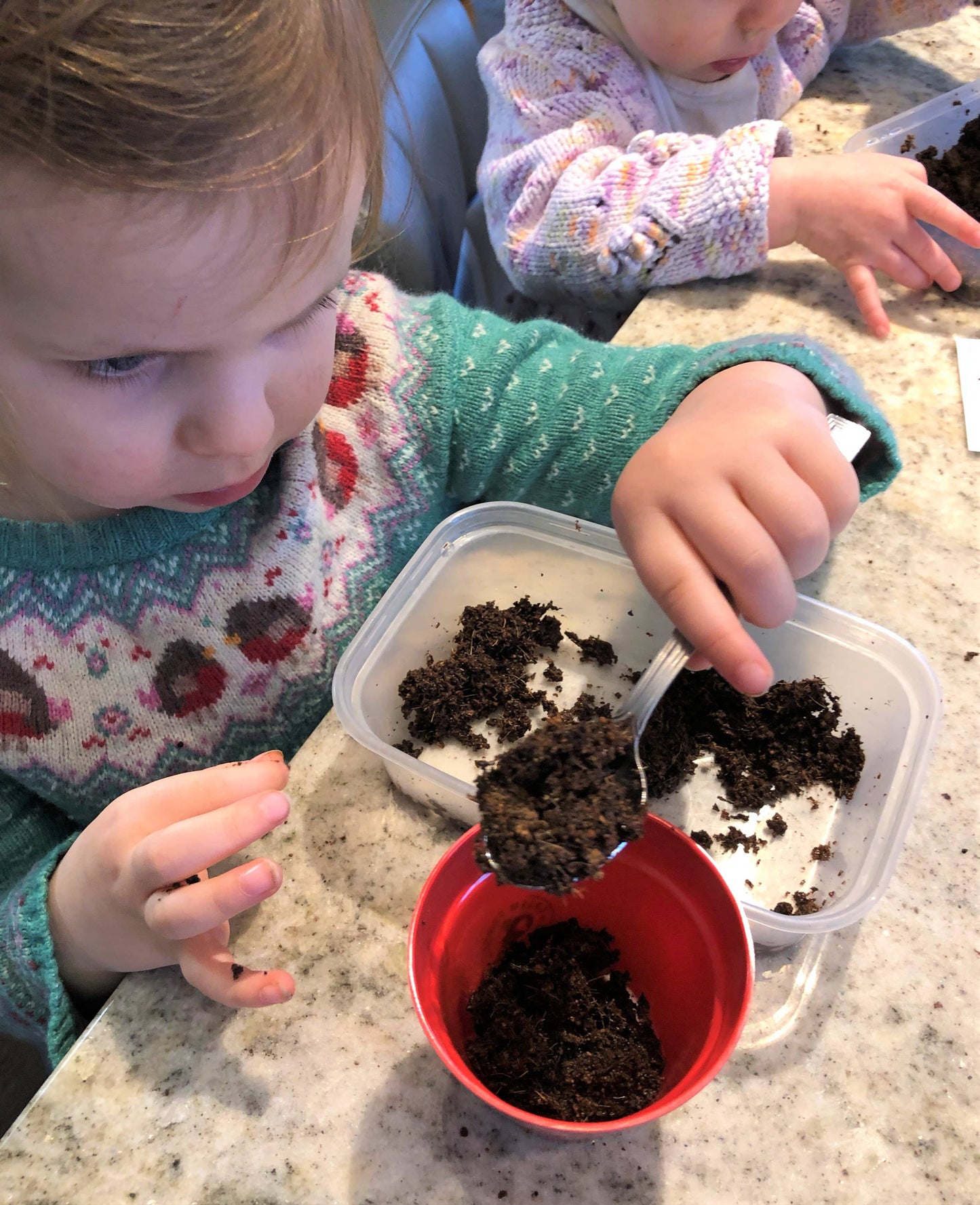 Grow Your Own Poppies Growing Kit