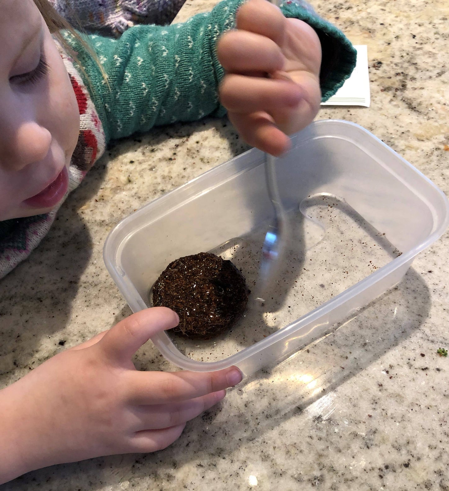 Grow Your Own Wild Strawberries Growing Kit