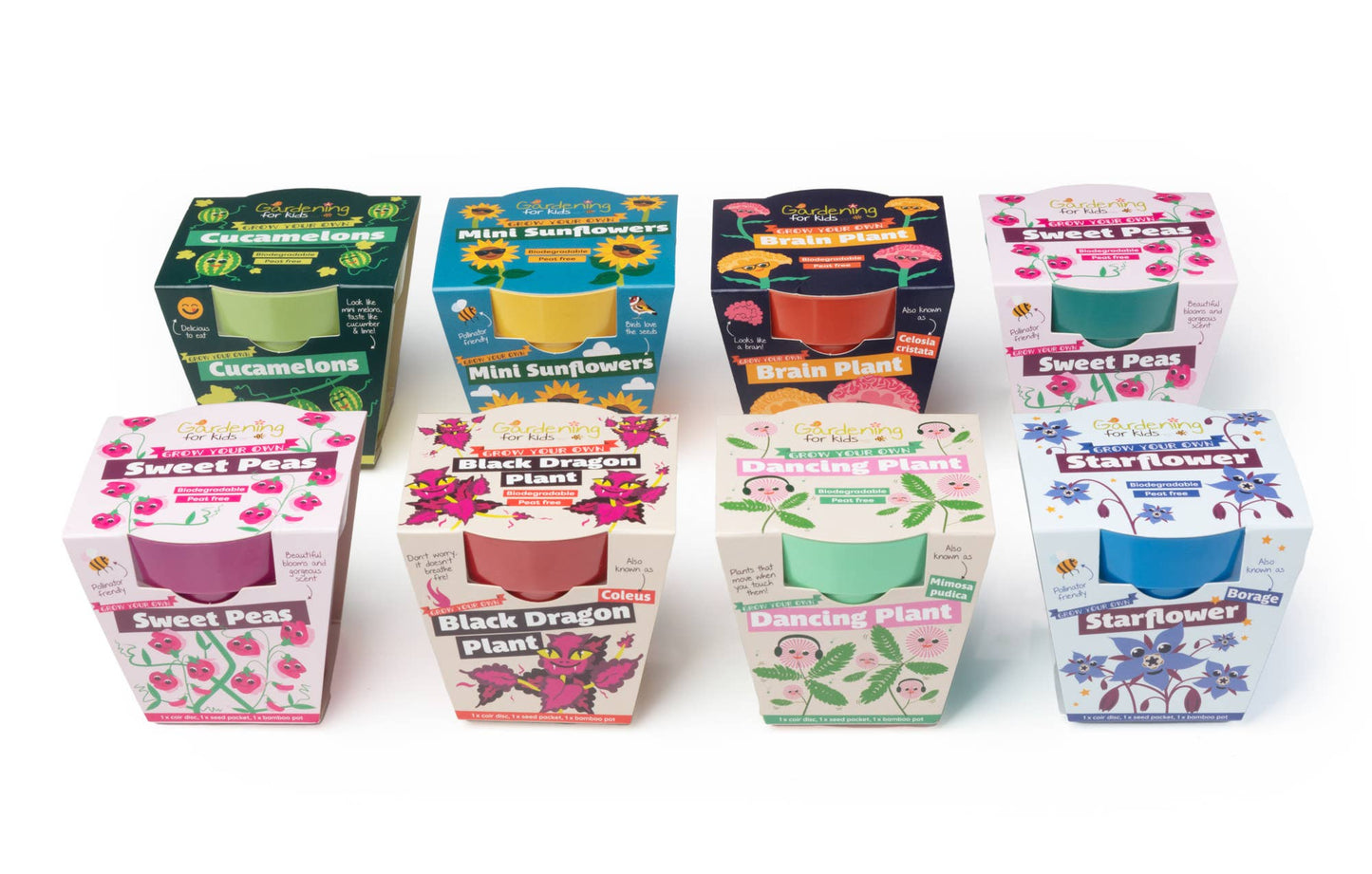 Children's Grow Your Own Mini Sunflowers Growing Kit