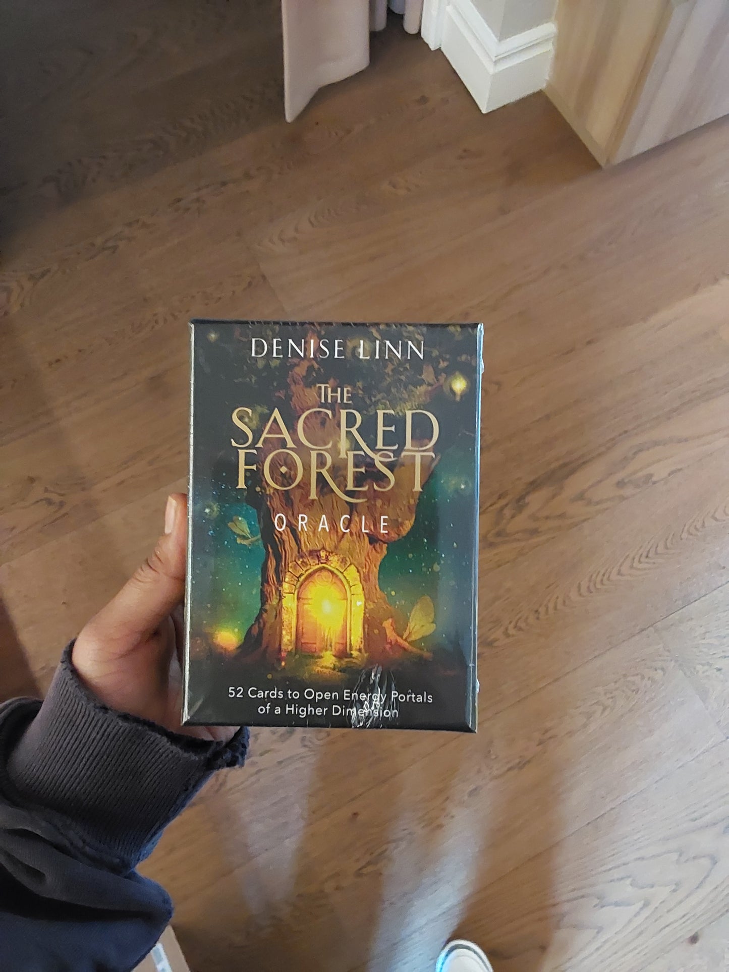 The sacred forest oracle