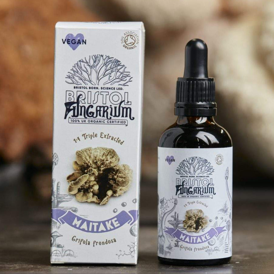 BRISTOL FUNGARIUM MAITAKE