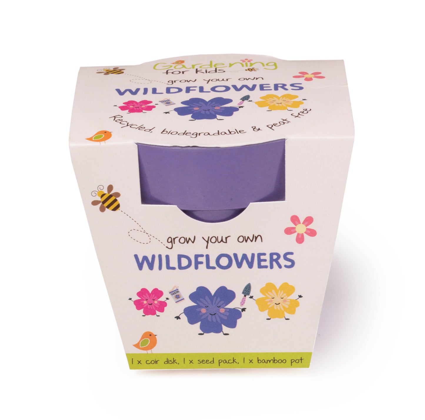 Children's Grow Your Own Wildflowers Growing Kit