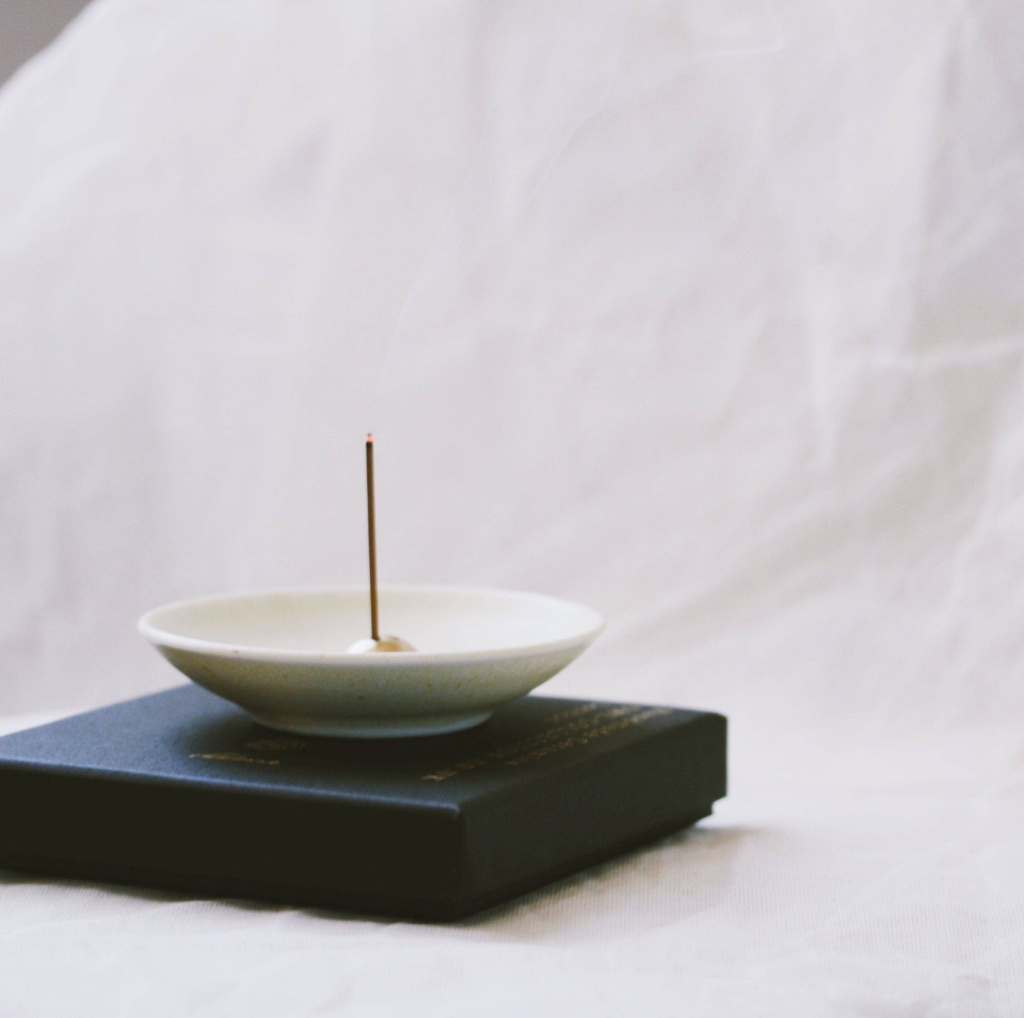 PORCELAIN INCENSE DISH ~ Sandstone Quartz