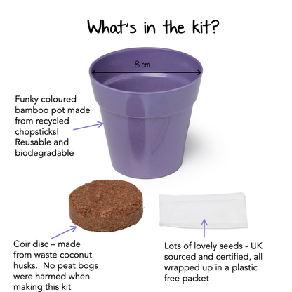 Children's Grow Your Own Wildflowers Growing Kit