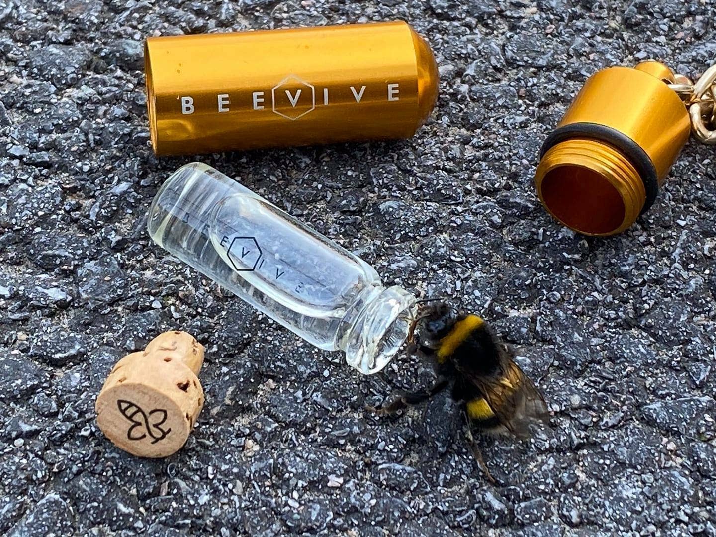 The Original Bee Revival Kit (beevive)