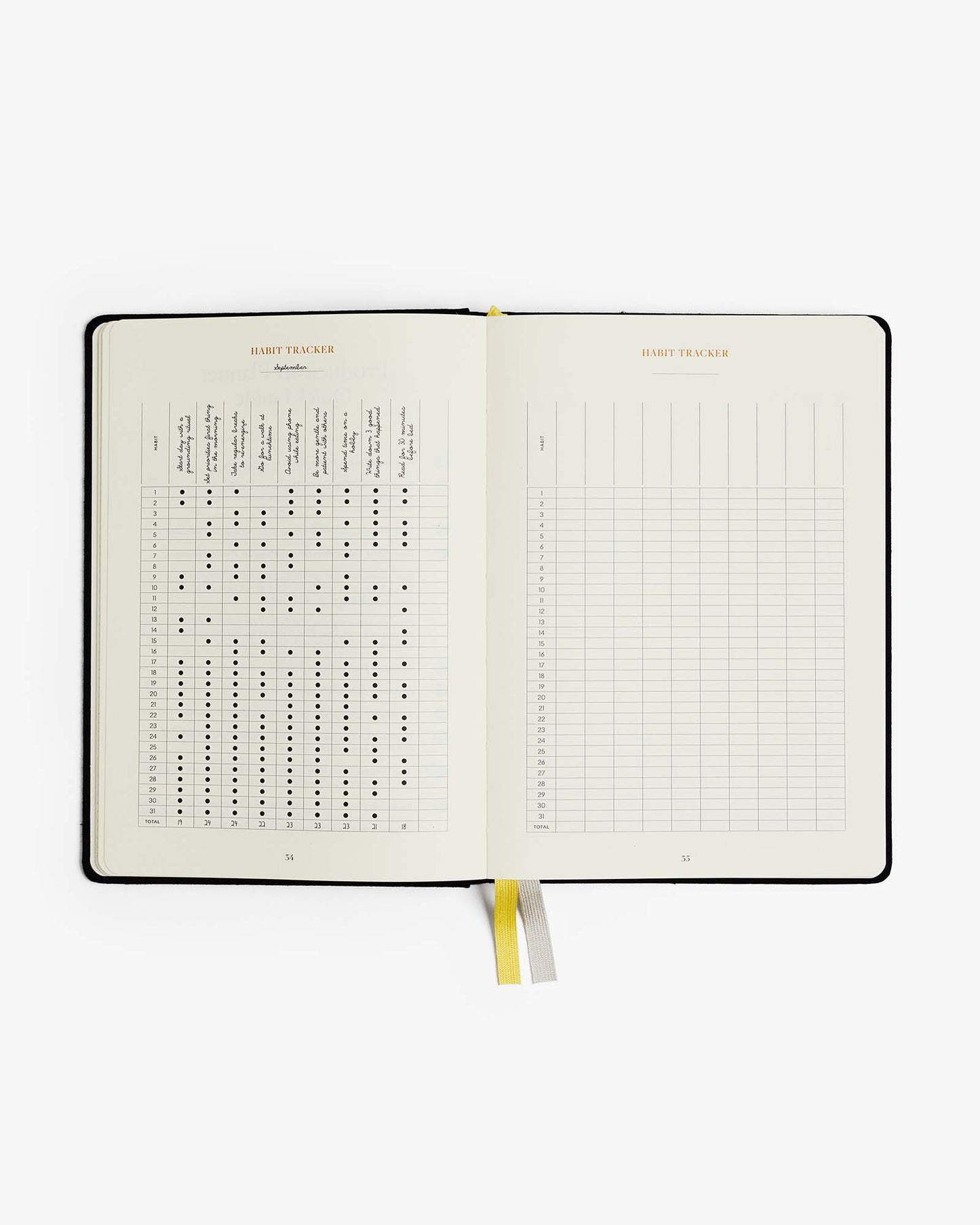 The Productivity Planner