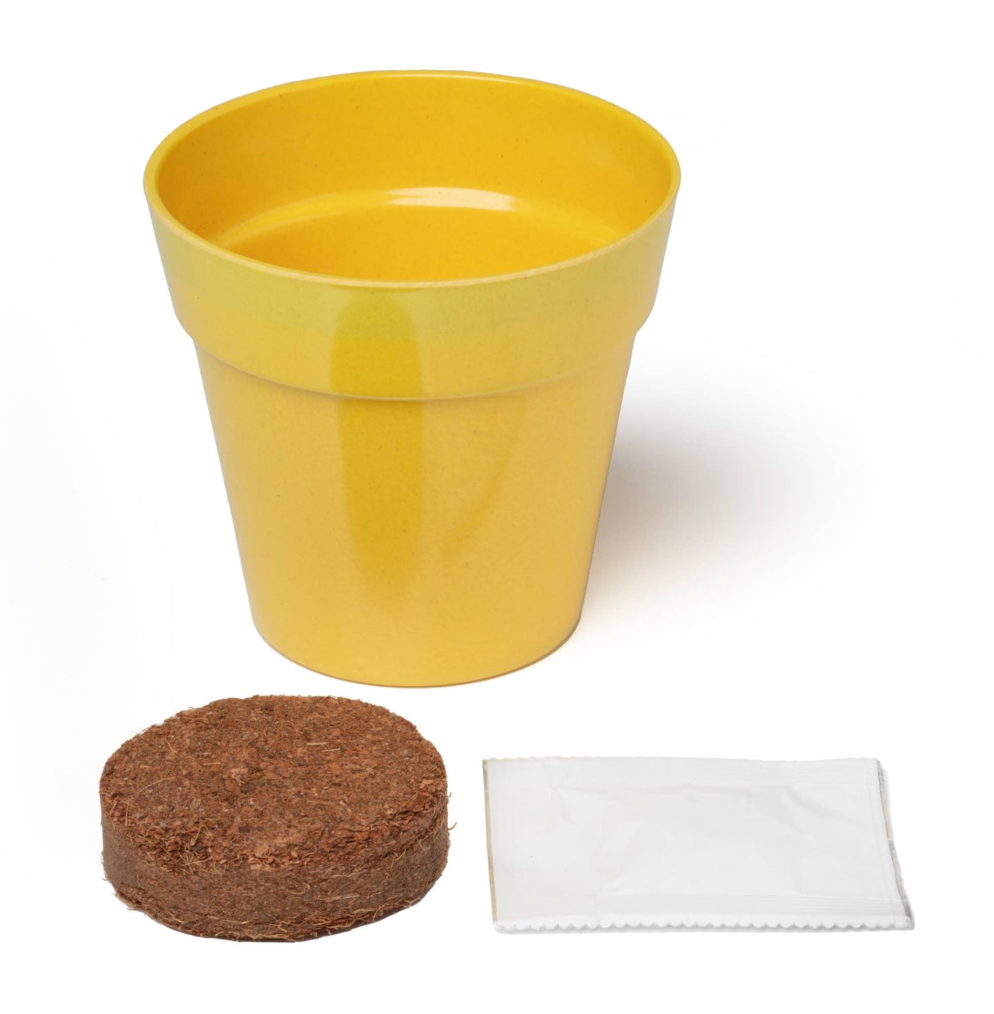 Children's Grow Your Own Mini Sunflowers Growing Kit