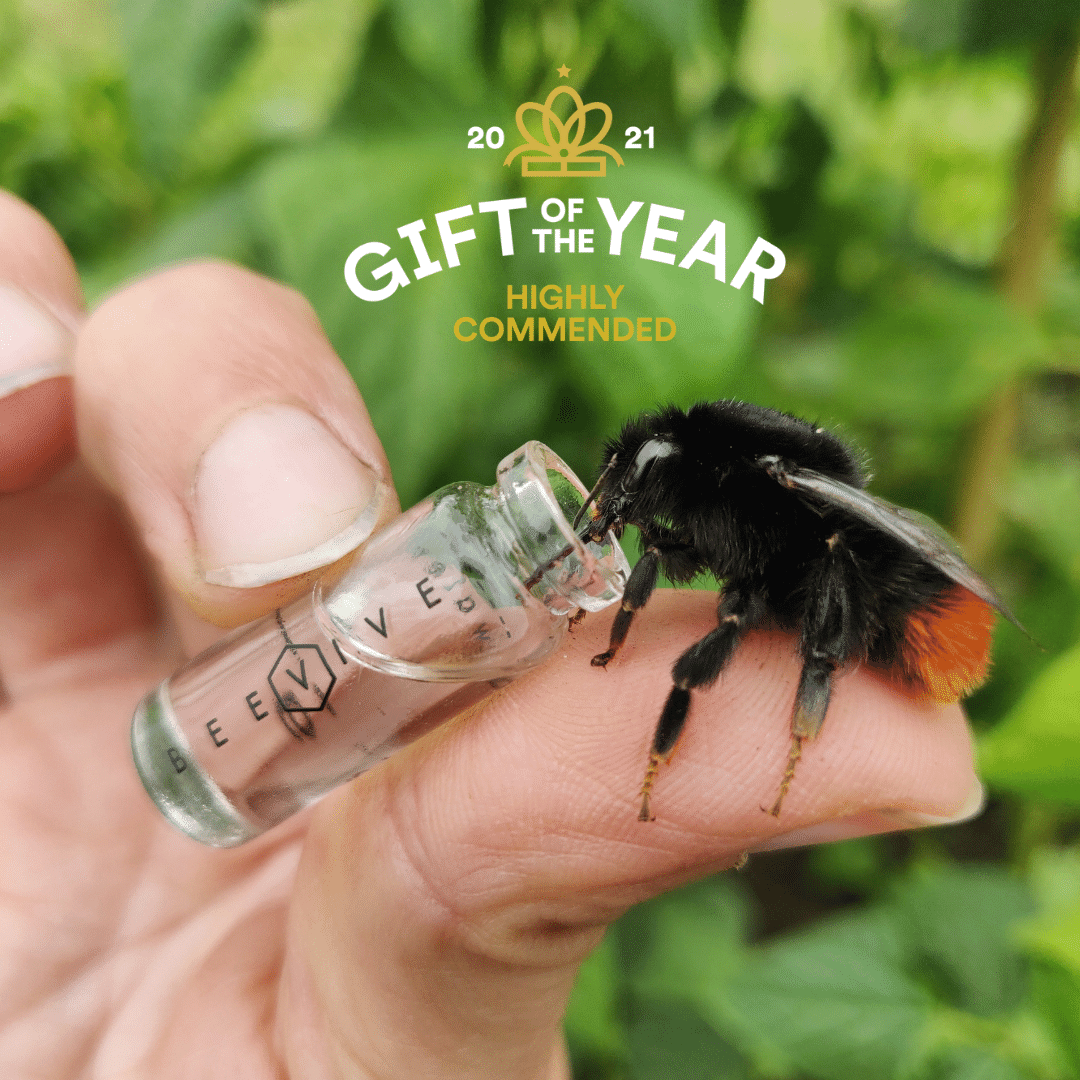 The Original Bee Revival Kit (beevive)