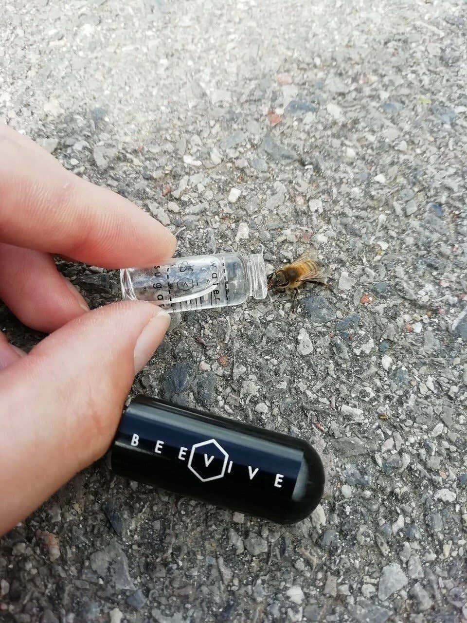 The Original Bee Revival Kit (beevive)