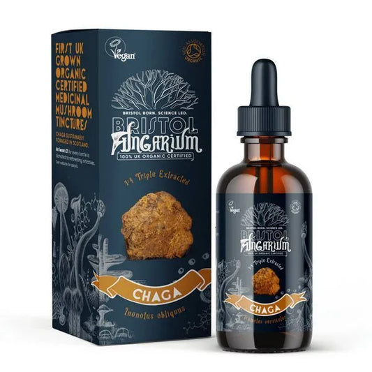 BRISTOL FUNGARIUM CHAGA