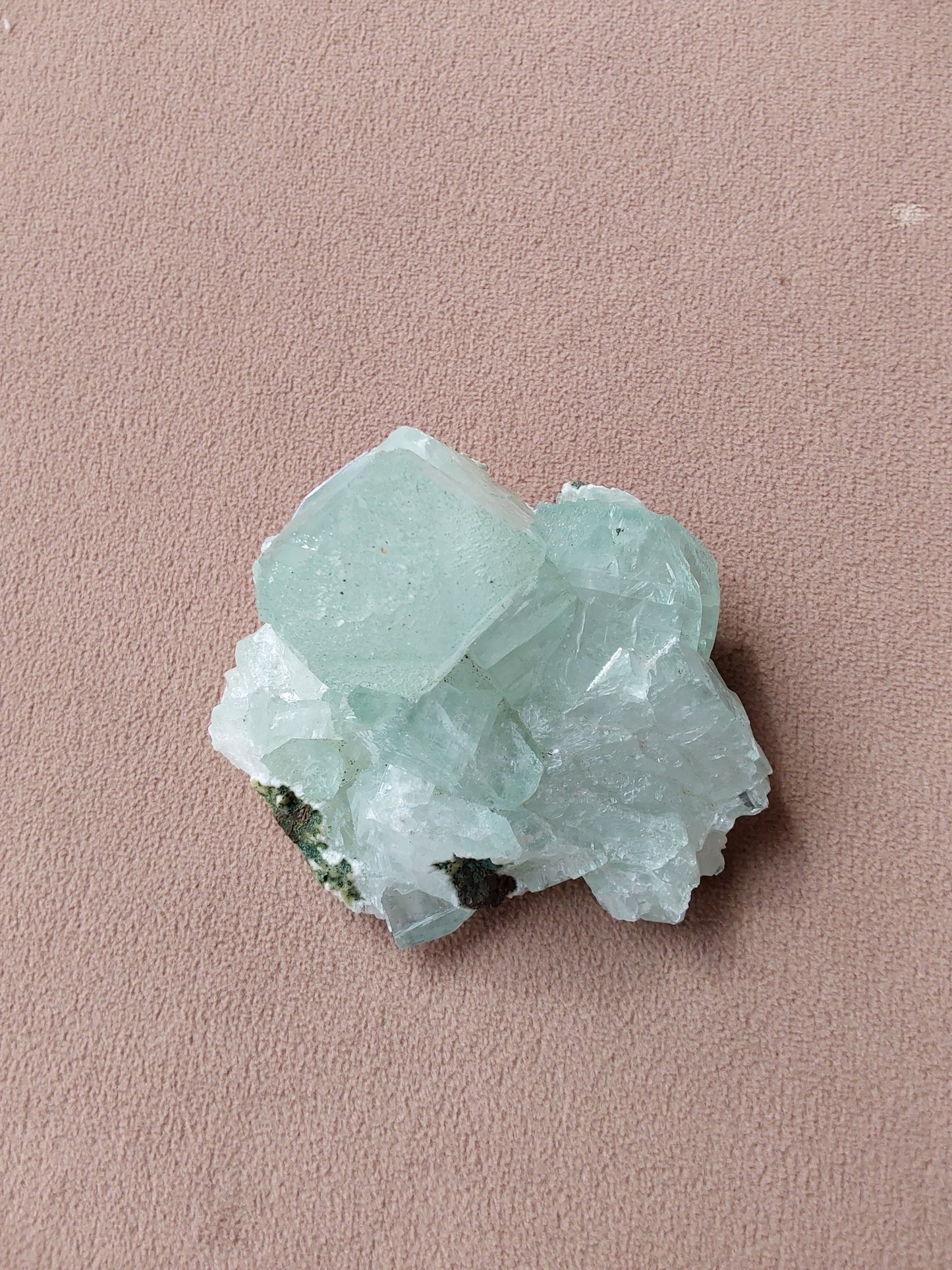 Crystal - Green Apopholite