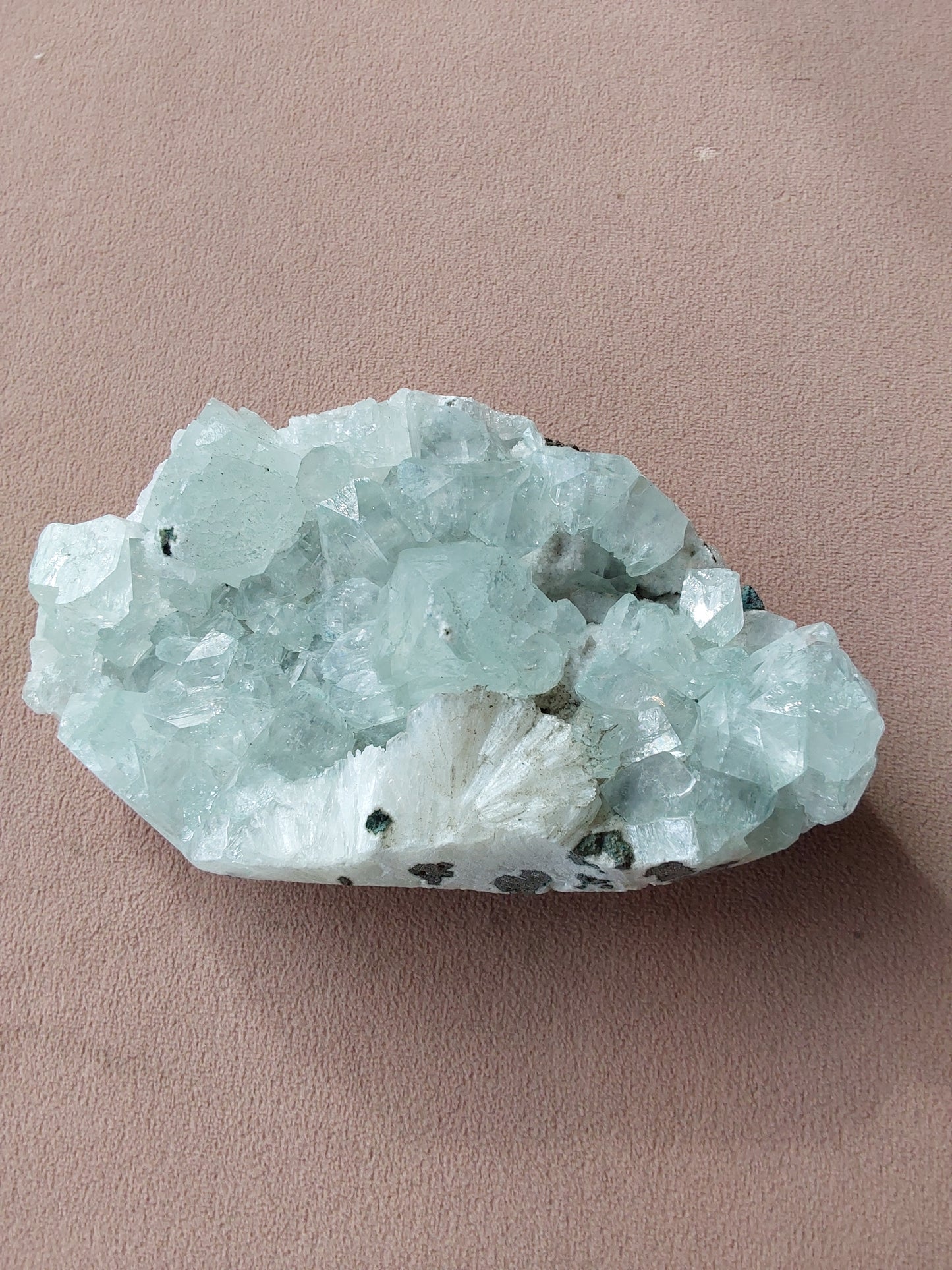 Crystal - Green Alopholite
